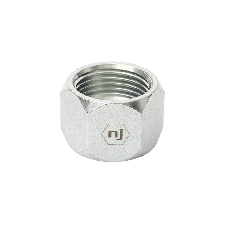 SAE JIC Cap